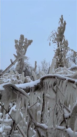 Crystal Forest in Paldiski