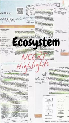 ECOSYSTEM||NCERT HIGHLIGHTS|Class 12|chapter 12|full ncert revision|side Notes|biology