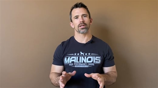 Lesson 6 exposes the biggest mistakes people make with reward training