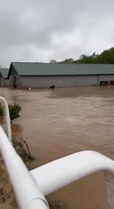 The flooding in Arkansas looks like Helene floods. Pray 🙏🙏 | Jackie DuVall