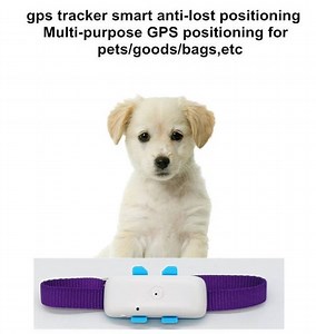 [Hot Item] Pet Smart Tracking Device Factory Pet GPS Tracker 4G Simcard Mini Cat Dog Tracking Device