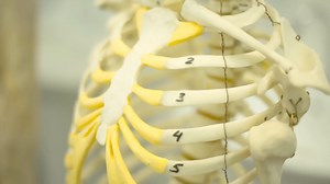 What happens if you try to buy a real skeleton?