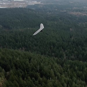 56K views · 1.3K reactions | Recently released, professional-grade camera from LUMIX will excite your creativity and wallet with a $400 rebate! Purchase the S5II + one applicable lens. 14 lenses to choose from. Learn more. | Lumix | Facebook