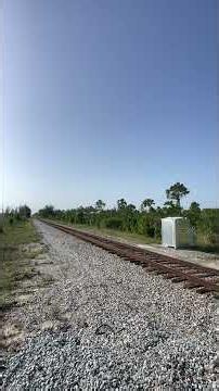 Amtrak Silver Meteor Approaching Now