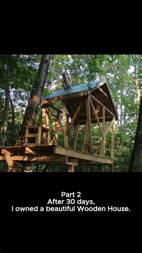 Building a Beautiful Wooden House: 30-Day Journey Part 2
