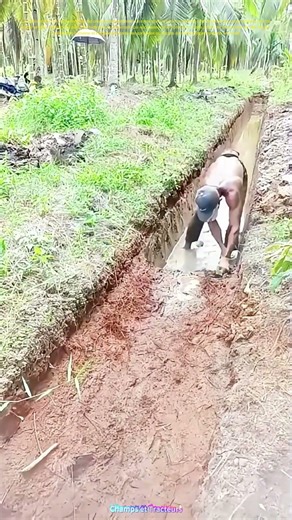 Travail manuel intense : Comment creuser un fossé sans machines ?