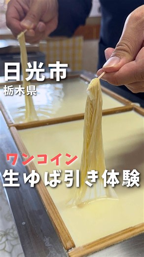 日光湯葉 引き上げ湯葉体験｜予約方法・注意点（栃木・日光）
