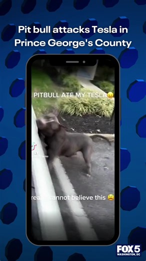 FOX 5 DC News on TikTok