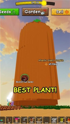 Atlantic Giant Pumpkin Method