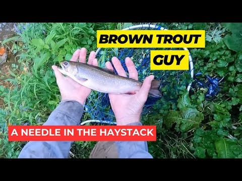 S3:E10 - A Needle In The Haystack