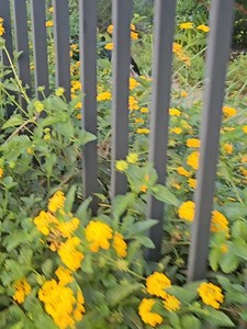 18K views · 104 reactions | Gabrielle Union on Reels | Facebook