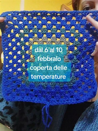aggiornamento coperta delle temperature dal 6 al 10 febbraio! #crochet #tiktokcrochet #uncinetto #adv #temperatureblanket