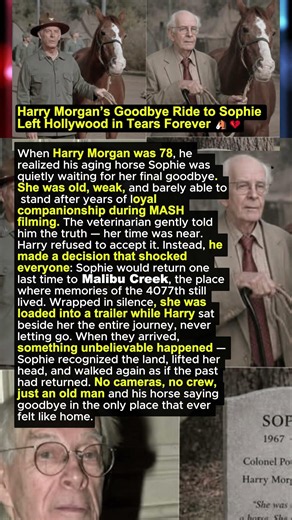 Harry Morgan’s Goodbye Ride to Sophie Left Hollywood in Tears Forever 🐴💔 #shorts