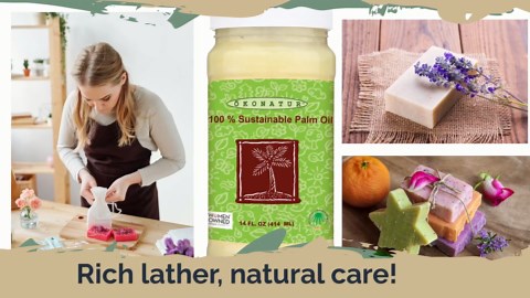 100% Sustainable Palm Oil | RSPO Certified | 2-Pack (14 fl oz) | For cooking, baking and soap making (2)