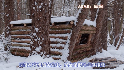 ASMR:深冬林中建暖舍求生，是必备野外生存技能