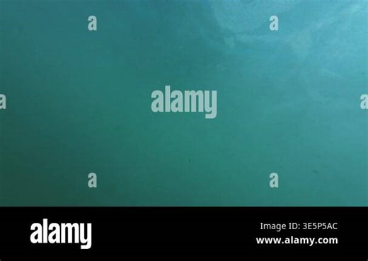 Slow Motion x4 Filmed at 120fps Underwater Bottom of Ocean Stock Video Footage - Alamy