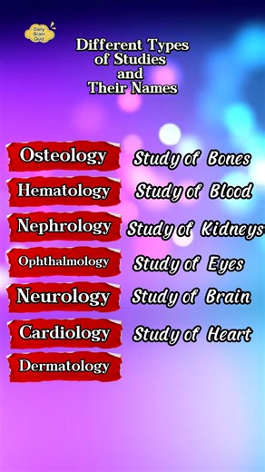 Daily Brain Quiz on Reels