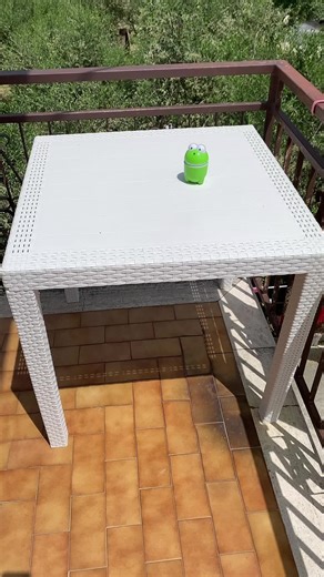 Interactive Frog Toy Fun for All Ages