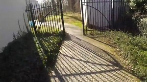 7.3K views · 160 reactions | +++MEET THE TEAM+++ Today we would like...