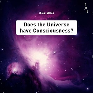 Do all things have Consciousness? | The Mind Unleashed