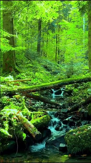 Calm Piano Loop 🎧 Stay Focused