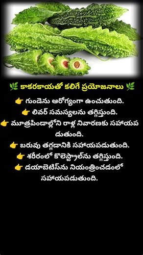 "కాకరకాయ తింటే కలిగే 7 అద్భుత ప్రయోజనాలు 😲 | Bitter Gourd Health Benefits"