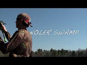 Pelican Bass Raider 10E Mods