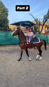 15K views · 1.8K reactions | Rate her riding skills in the comment out of 10 #horse #instagram #viral #reels #love #namit1singh #pet #pet #farmlife #global #life | Namit Singh | Facebook
