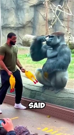 Man Tries to Prank Gorilla… Gorilla Says “Abraca-BA-NANA!”#GorillaPrank #MagicMoment #ZooAudience