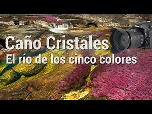 Caño Cristales Colombia: el río de los cinco colores