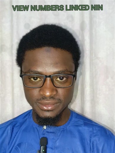 How to Report Linked NIN View Numbers Effectively