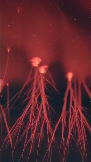 Sprite Lightning in High Definition