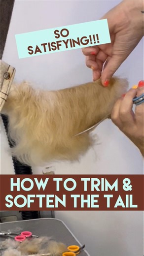 297K views · 922 reactions |  HOW TO SOFTEN A FAN TAIL! Ever...