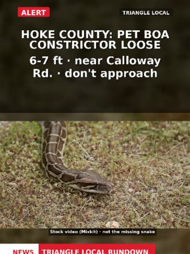 Triangle Safety Alerts: Loose Snake, House Fire, & School Lockdown