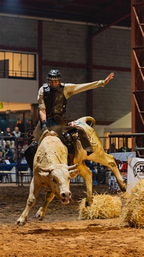 3.5K views · 54 reactions | Así vivimos el rodeo más importante del año ⚡️. Gracias por todo su apoyo y permitir que este evento siga creciendo año tras año. Gracias por la gran acogida y el apoyo a jinetes, amazonas y más participantes de este gran evento. ¡Nos veremos pronto! ⚡️ | Western Games | Facebook