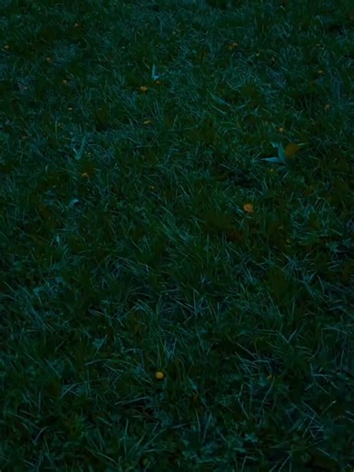 ‏#قران_كريم