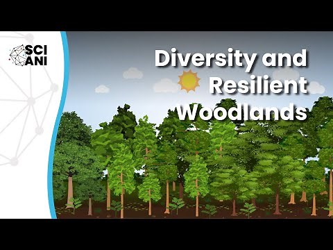 How to build tree diversity into resilient forests?