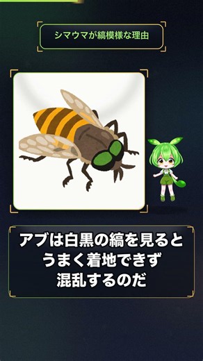 シマウマが縞模様な理由