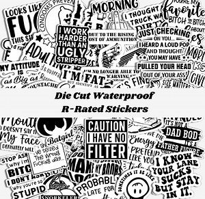 Adult Sarcastic Stickers, Inappropriate Funny Humor, Waterproof, Scratch Resistant, Sarcastic, Comical, Gag Gifts - Etsy Canada