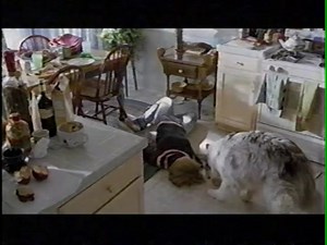 Blank VHS Tape: Judging Amy, 21 WFMJ Goodies from '05 (2005) : CBS, 20th Century Fox, The Walt Disney Company, Paramount Television, KingWorld : Free Download, Borrow, and Streaming : Internet Archive