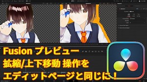 Fusionのプレビューの拡縮と上下移動の操作をエディットページやカラーページと同じにする方法