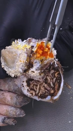 11K views · 76 reactions | CTH TV2 on Reels | Facebook