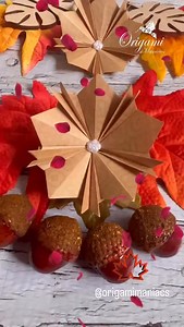 Beautiful autumn star. Perfect decoration for autumn. Easy and elegant. Enjoy 😊. 🍁🍂🍁🍂🍁🍂. #origamimaniacs #origami #paperfolding #papercrafts #origamitutorial #craft #autumndecor | Origami Maniacs