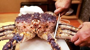 672K views · 6.3K reactions | $1500 ALASKAN KING CRAB COURSE Katukanino Hanasaki Sapporo Seafood Japan | Travel Thirsty | Facebook