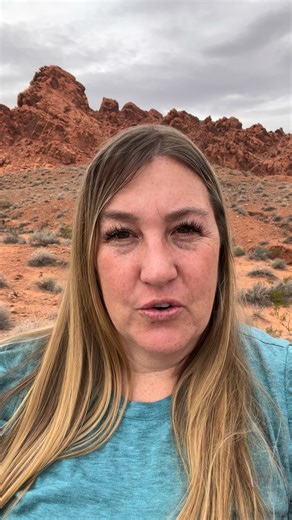 The no writing method is actually so fun! It's journals and planners. https://www.jennyhansenlanehq.com/self-publish-starter-kit?el=youdontneedtowritebooks | Jenny Hansen Lane