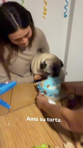 Ramón siendo Ramón 😹😹 #perros #cacher #poche #danielacalle #calleypoche #cacher_1531 #paratiiiiiiiiiiiiiiiiiiiiiiiiiiiiiii
