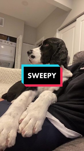 Maddie & Rudder on TikTok