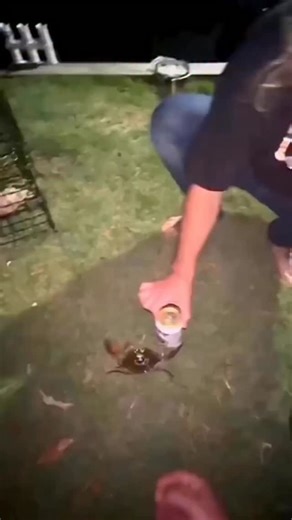 Gonzo Digi | The future of AI is officially here 🤯 Meet Gefion, the world’s first AI Supercomputer — capable of processing what would take humans years... | Instagram