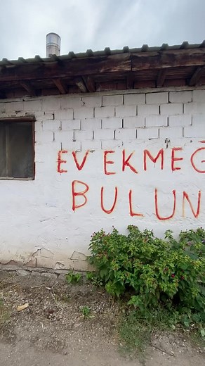 2.2M views · 36K reactions | Afyon’un patatesli, ekşi mayalı çok...