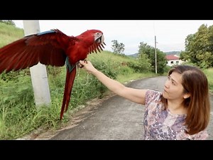 BRINGING MIA TO ANTIPOLO FOR THE FIRST TIME!( Last week pa ito bago mawala sila Chai) | Murillo Bros
